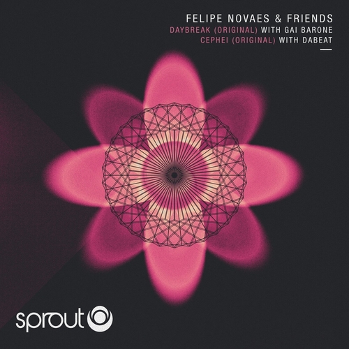 Felipe Novaes - Felipe Novaes &  Froends EP [SPT112]
